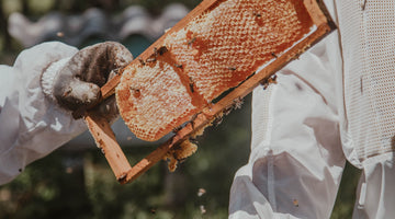 How to keep honey fresh