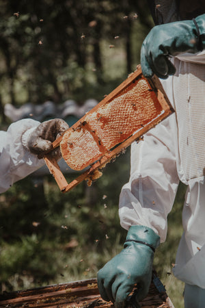 How to keep honey fresh